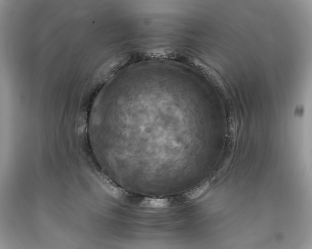 X0000091710665200709141121