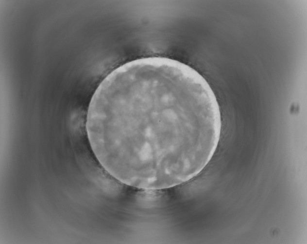 X0000091710672200709141121