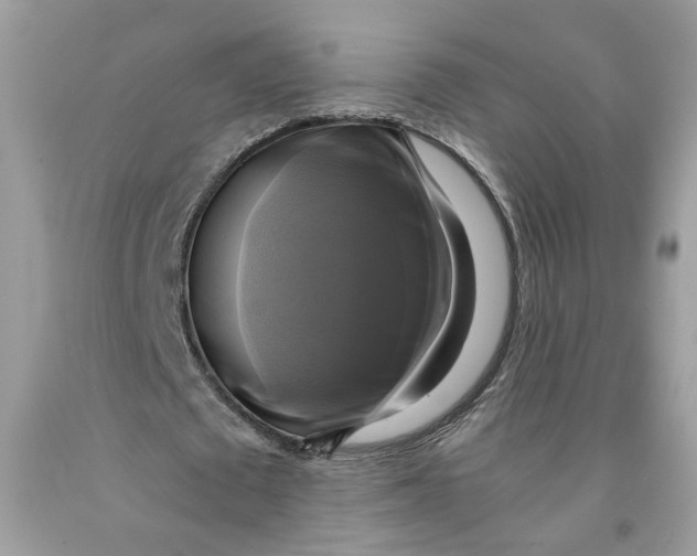 X0000091710673200709141121