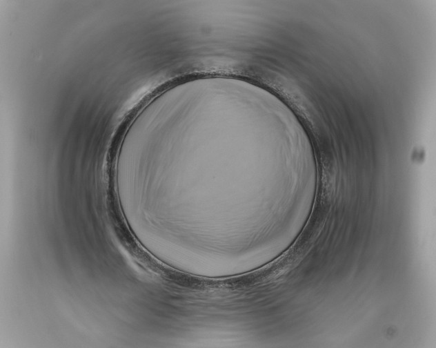 X0000091710674200709141121