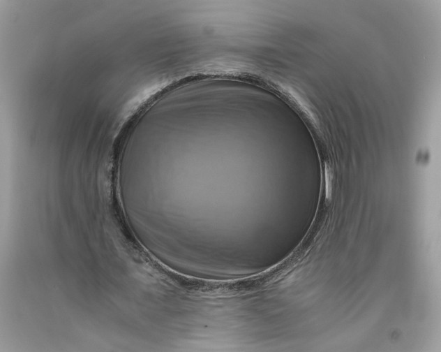 X0000091710675200709141121