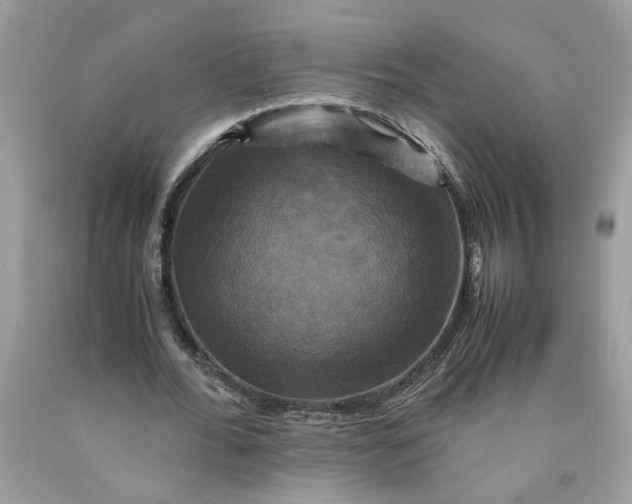 X0000091710676200709141120