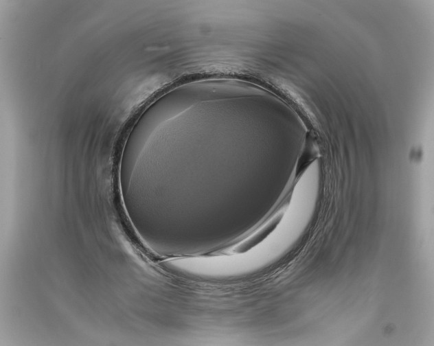 X0000091710677200709141120