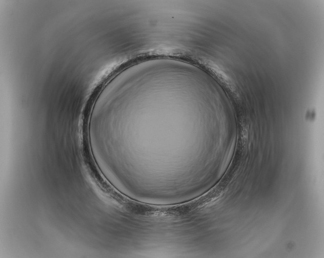 X0000091710678200709141120