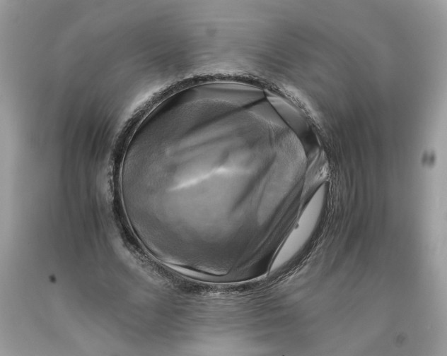 X0000091710680200709141120