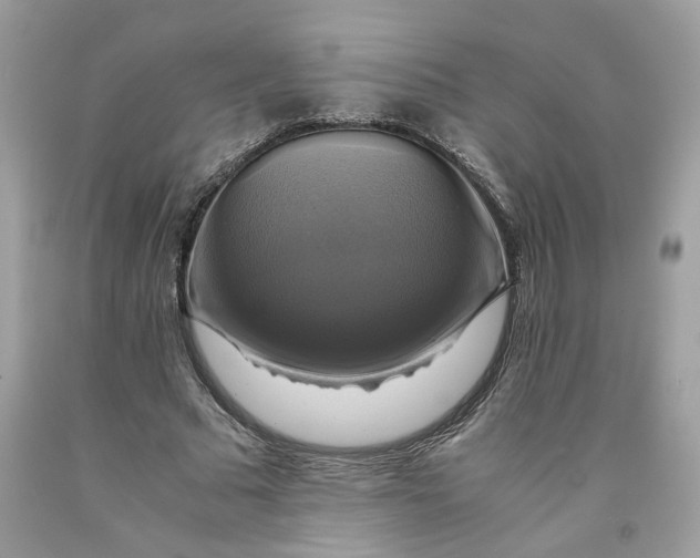 X0000091710681200709141120