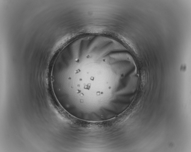 X0000091710682200709141120