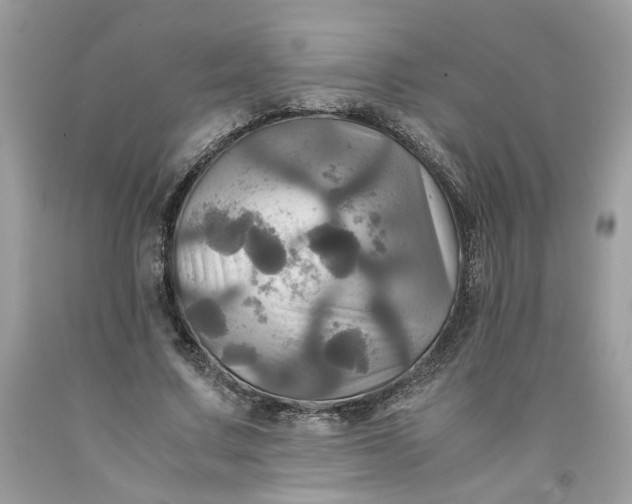 X0000091710683200709141120