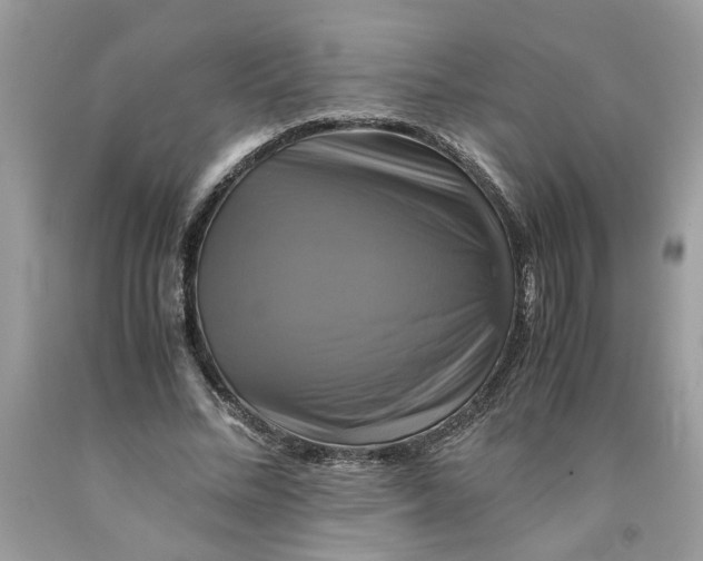 X0000091710684200709141120