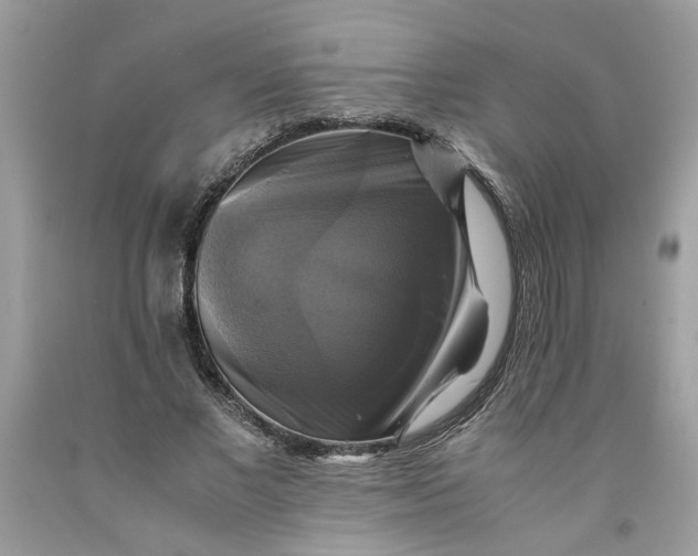 X0000091710685200709141120