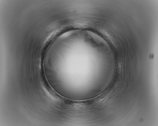 X0000091710686200709141120