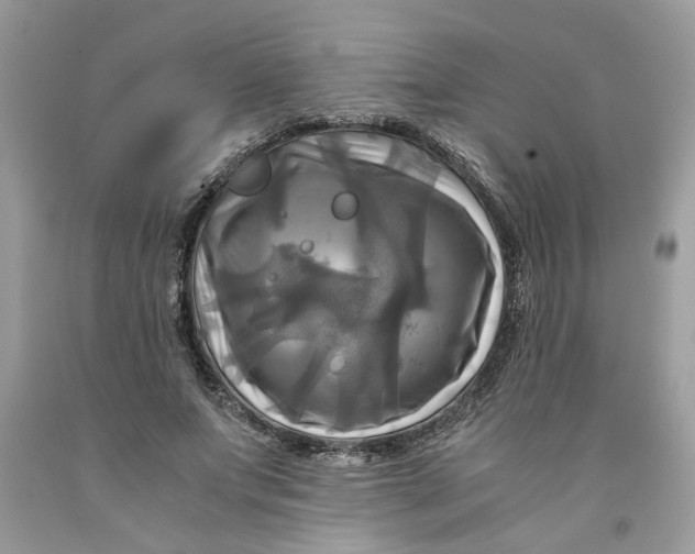 X0000091710687200709141120