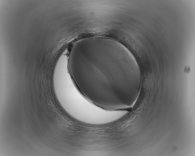 X0000091710689200709141120