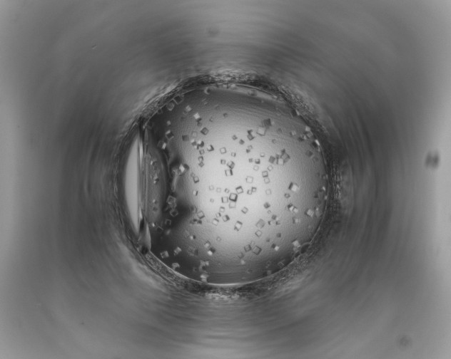 X0000091710690200709141120