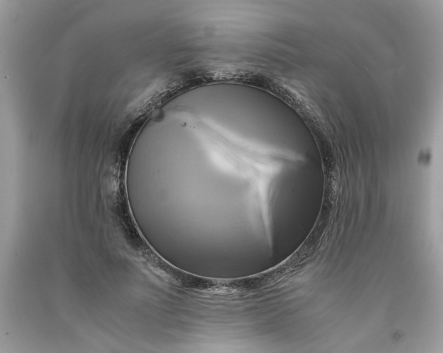 X0000091710691200709141120