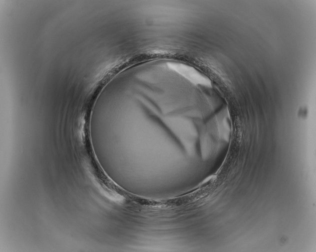 X0000091710692200709141120