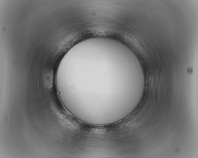 X0000091710694200709141120