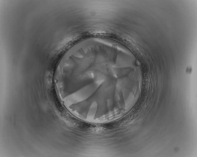 X0000091710695200709141120