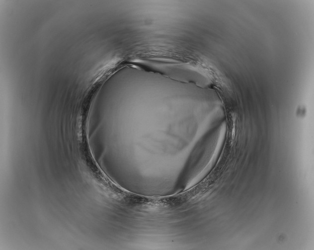 X0000091710696200709141120