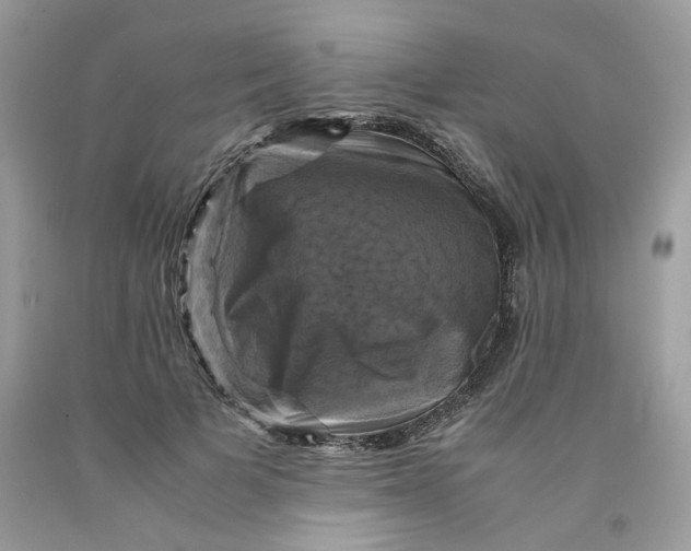 X0000091710697200709141120