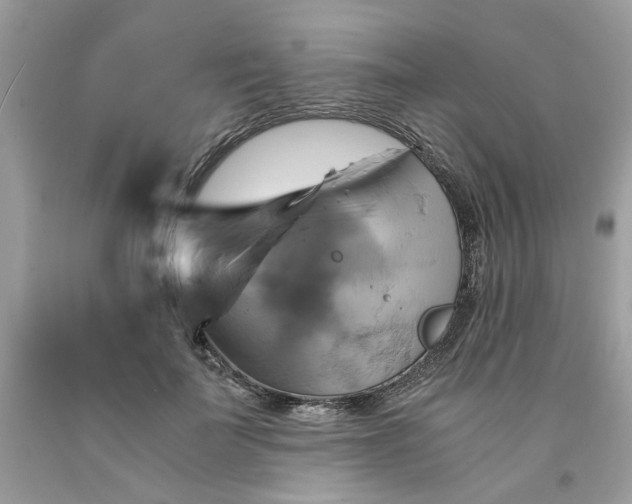 X0000091710699200709141120