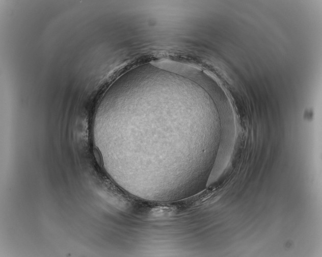 X0000091710700200709141120