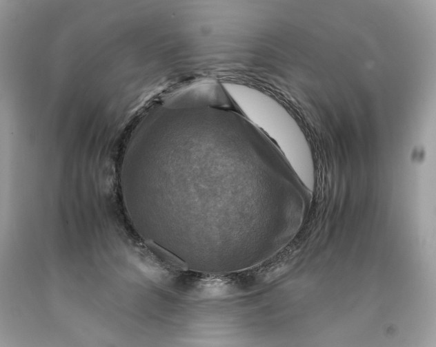 X0000091710704200709141120