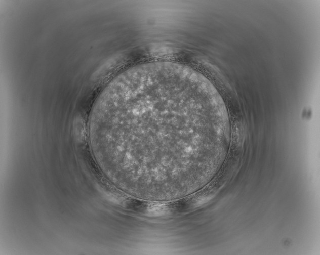 X0000091710705200709141120