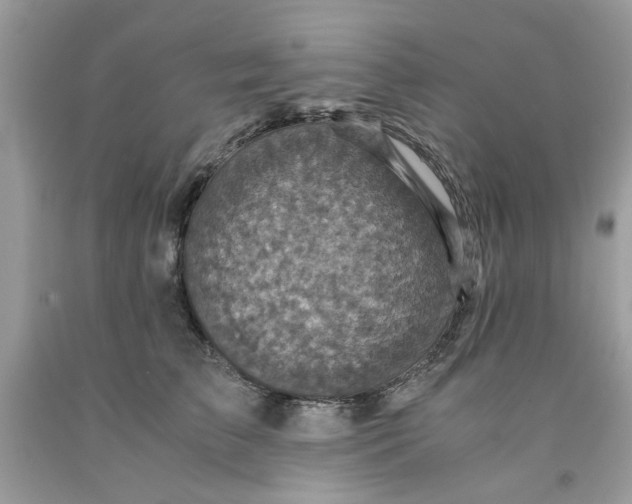 X0000091710709200709141120