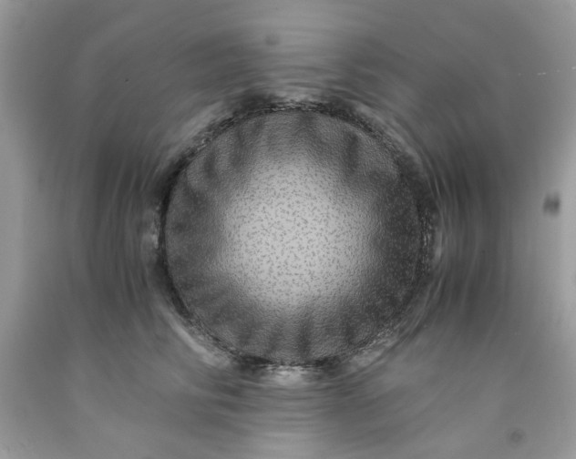 X0000091710710200709141120