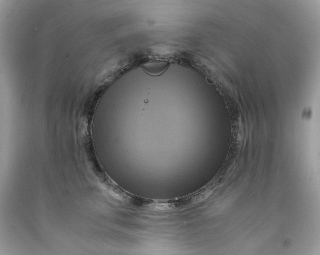 X0000091710711200709141120