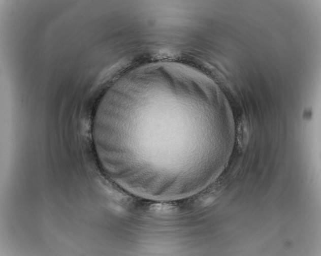 X0000091710714200709141120