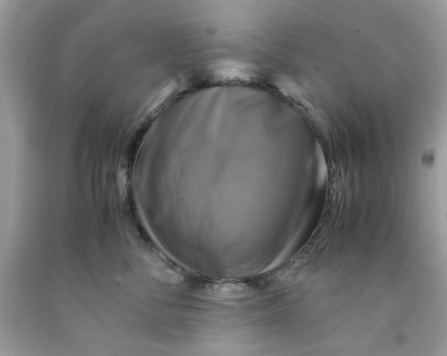 X0000091710716200709141120