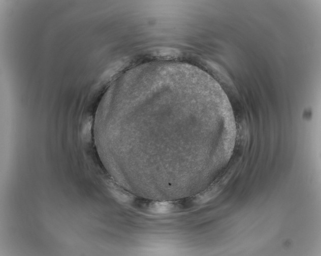 X0000091710717200709141120