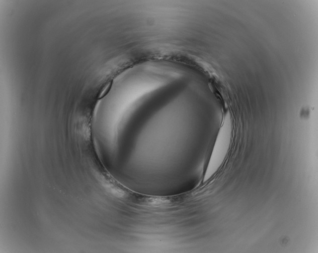 X0000091710719200709141120