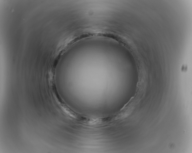 X0000091710720200709141120