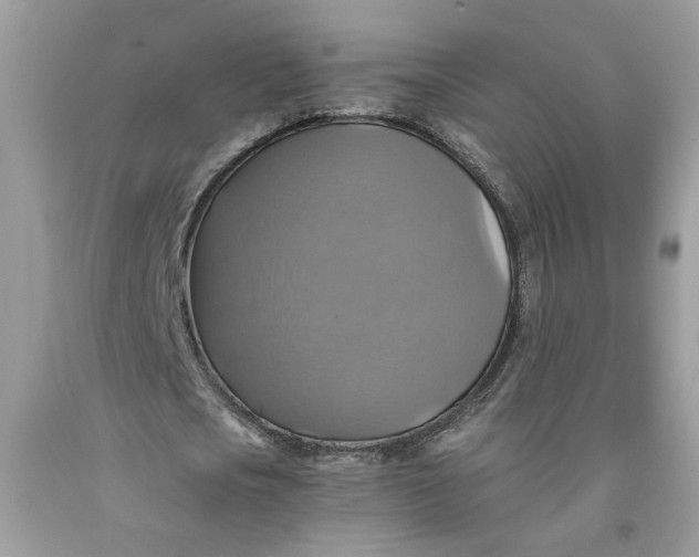 X0000091710721200709141119