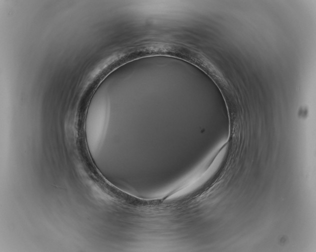 X0000091710722200709141119