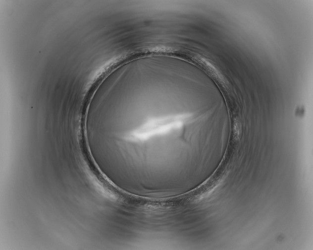 X0000091710725200709141119