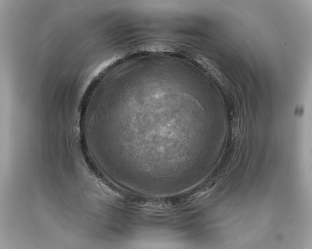 X0000091710727200709141119