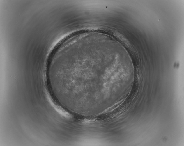 X0000091710728200709141119