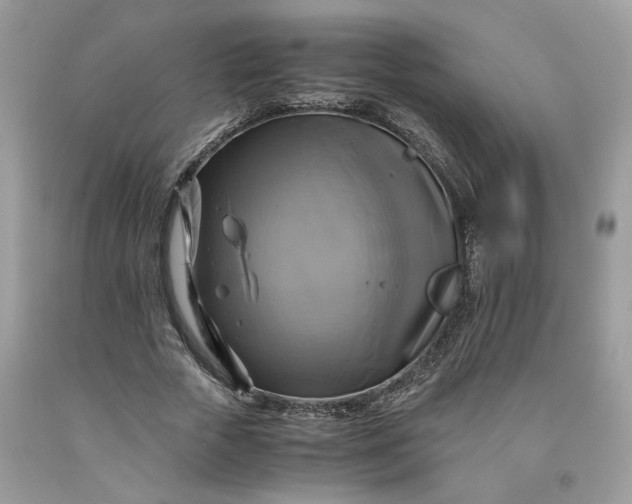 X0000091710729200709141119