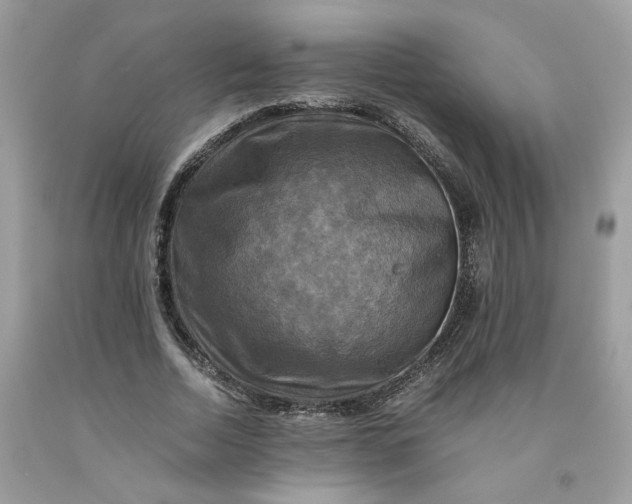 X0000091710730200709141119