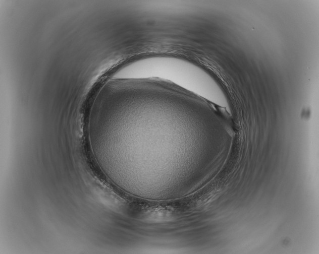 X0000091710731200709141119