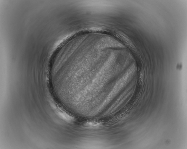 X0000091710732200709141119