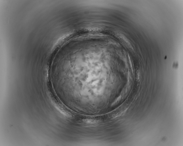 X0000091710733200709141119