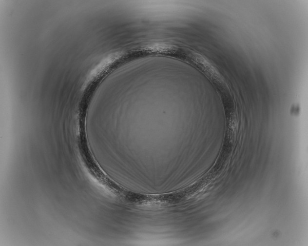 X0000091710734200709141119