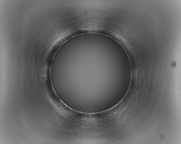 X0000091710735200709141119