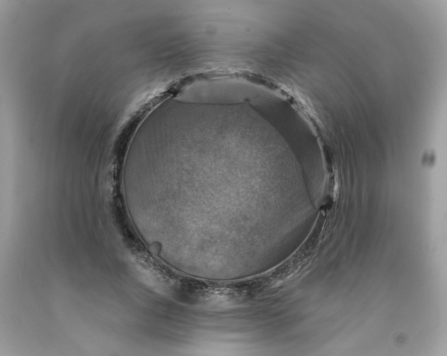 X0000091710736200709141119