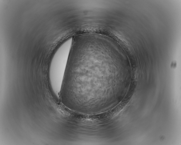 X0000091710737200709141119